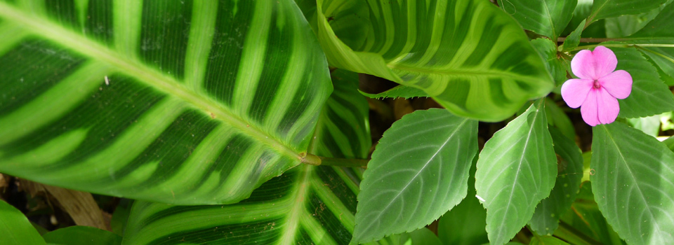 真のワタシに還る-スピリチュアルセッション