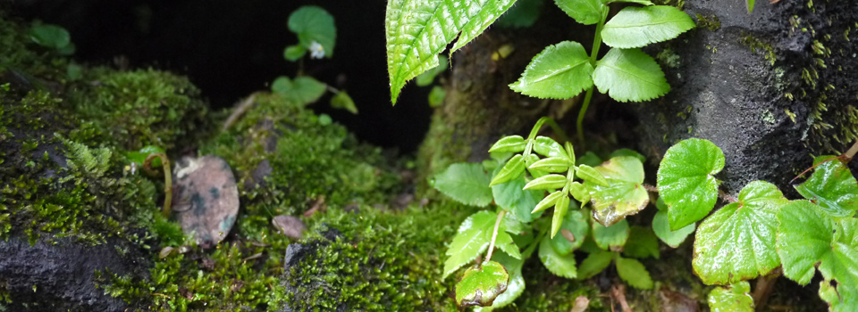 真のワタシに還る-スピリチュアルセッション